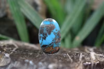 فیروزه نیشابور