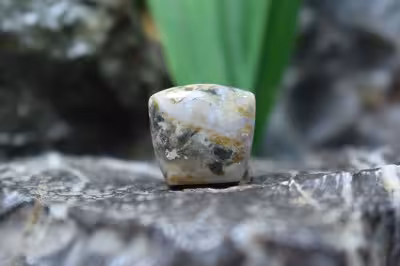 جاسپر جنگل بارانی(ریولیت استرالیا)