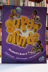 Super Minds 6