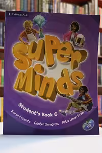 Super Minds 6