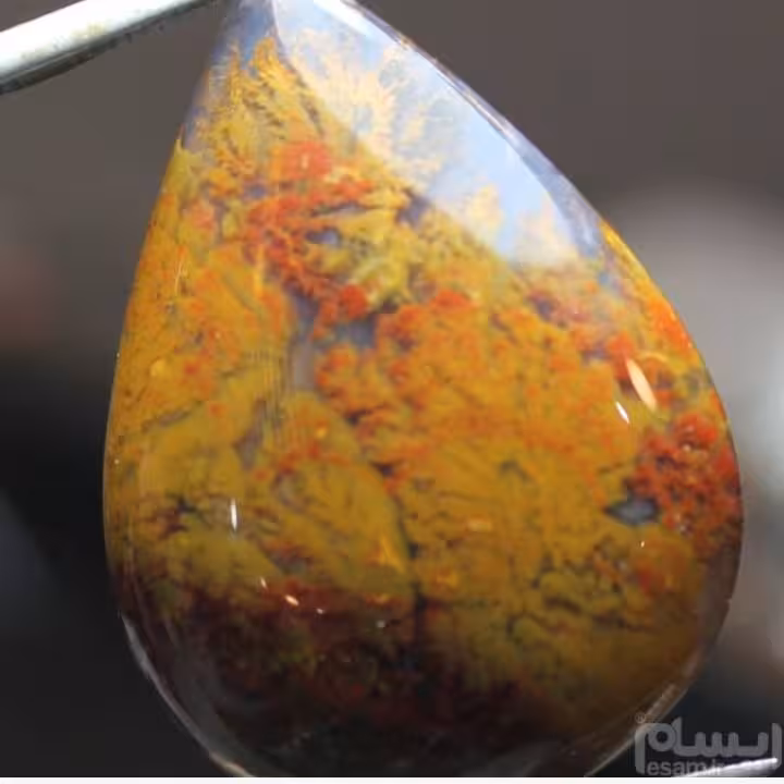 نگین عقیق شجر پاییزی، 5/62گرم