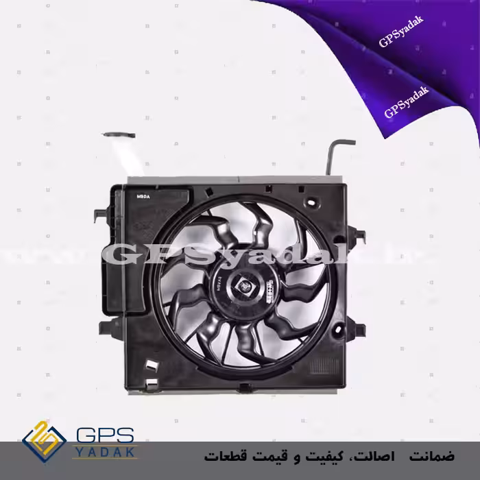 فن کامل کیا پیکانتو