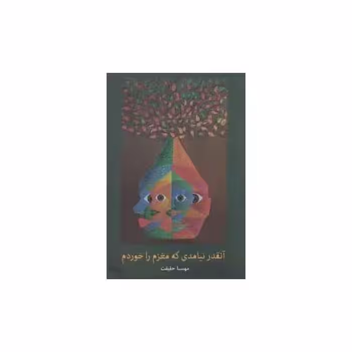 کتاب آنقدر نیامدی که مغزم را خوردم اثر مهسا حقیقت