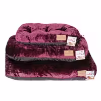 تشک نرم مستر پنگوئن بنفش سایز کوچک Mr.Panguan Purple mattress