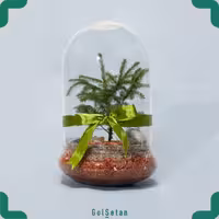 تراریوم بونسای مینیاتوری کد S20