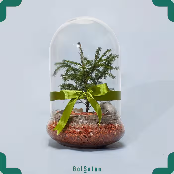 تراریوم بونسای مینیاتوری کد S20