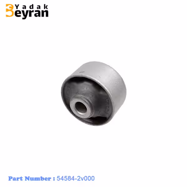 بوش طبق ولستر