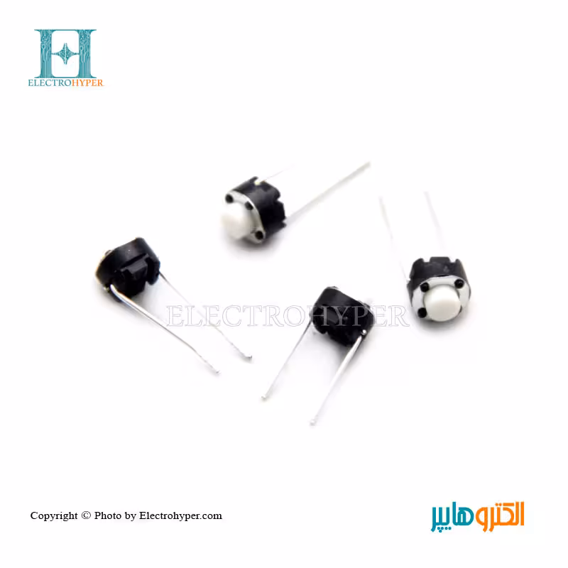 میکروسویچ 2 پایه