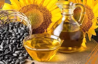 بذر تخمه آفتابگردان روغنی