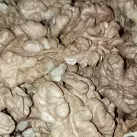 مغزگردو ایرانی اقتصادی بسته بندی 1 کیلوگرمی شالیزار صادق