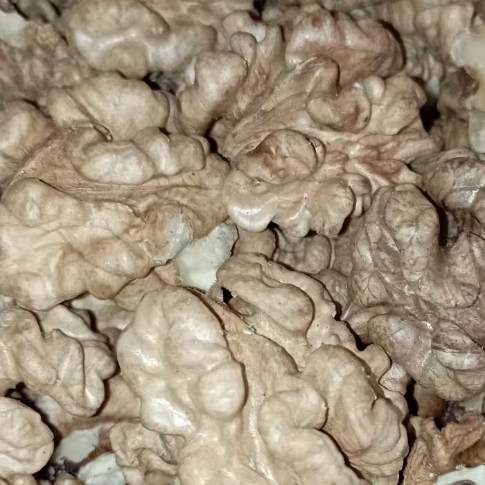 مغزگردو ایرانی اقتصادی بسته بندی 1 کیلوگرمی شالیزار صادق