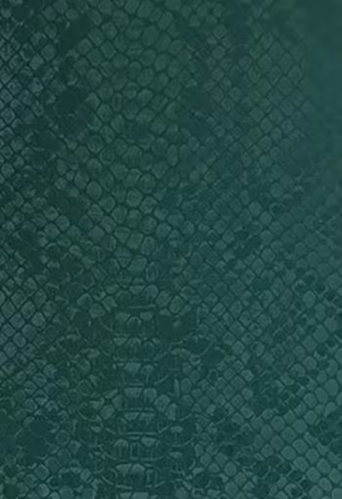 بک اسکین چرم کد100862