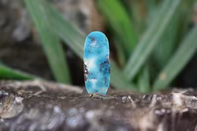 فیروزه نیشابور