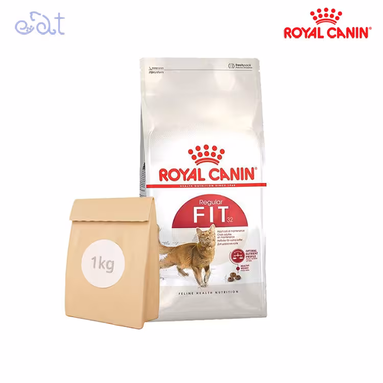 غذای خشک گربه فیت رویال کنین مدل Royal Canin Regular Fit 32 بسته 1 کیلوگرمی