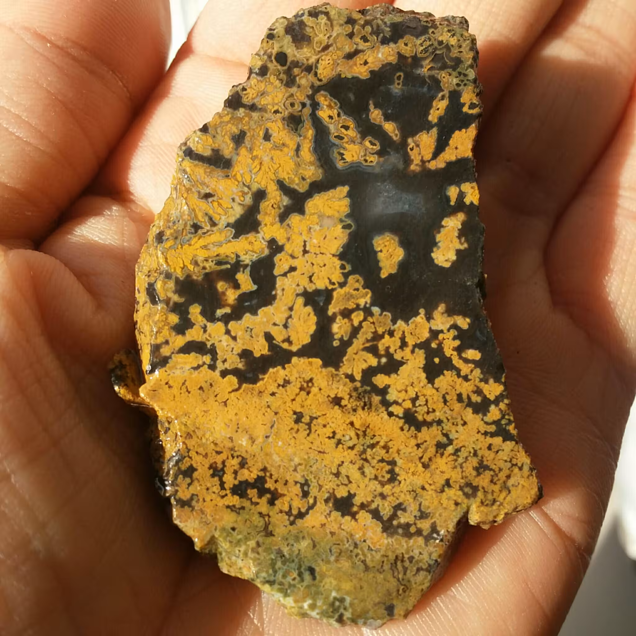 اسلایس سنگ راف شجر زرد زمینه مشکی کمیاب دیدنی کاملا طبیعی شاهکار خلقت زیبااا