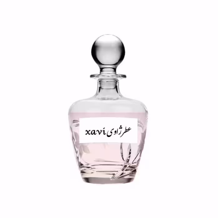 عطر مردانه ژاوی Xavi Perfume For Men