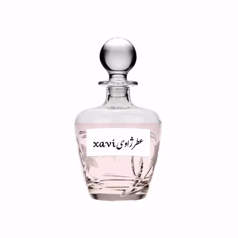 عطر مردانه ژاوی Xavi Perfume For Men