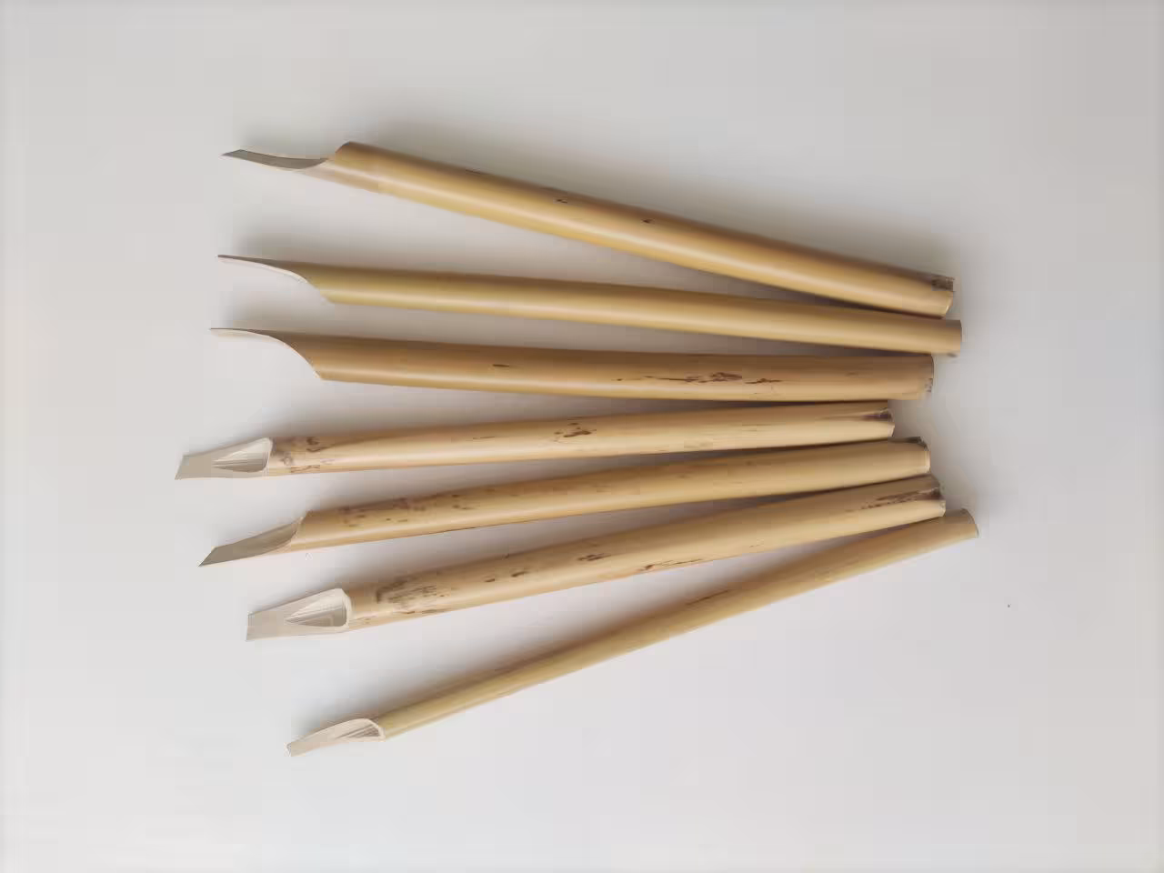 قلم نی شمالی درشت رنگی