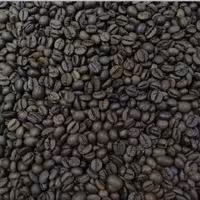 قهوه اسپرسو 20-80 دانه و آسیاب شده یک کیلوگرمی 