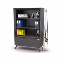 کتابخانه پالوما