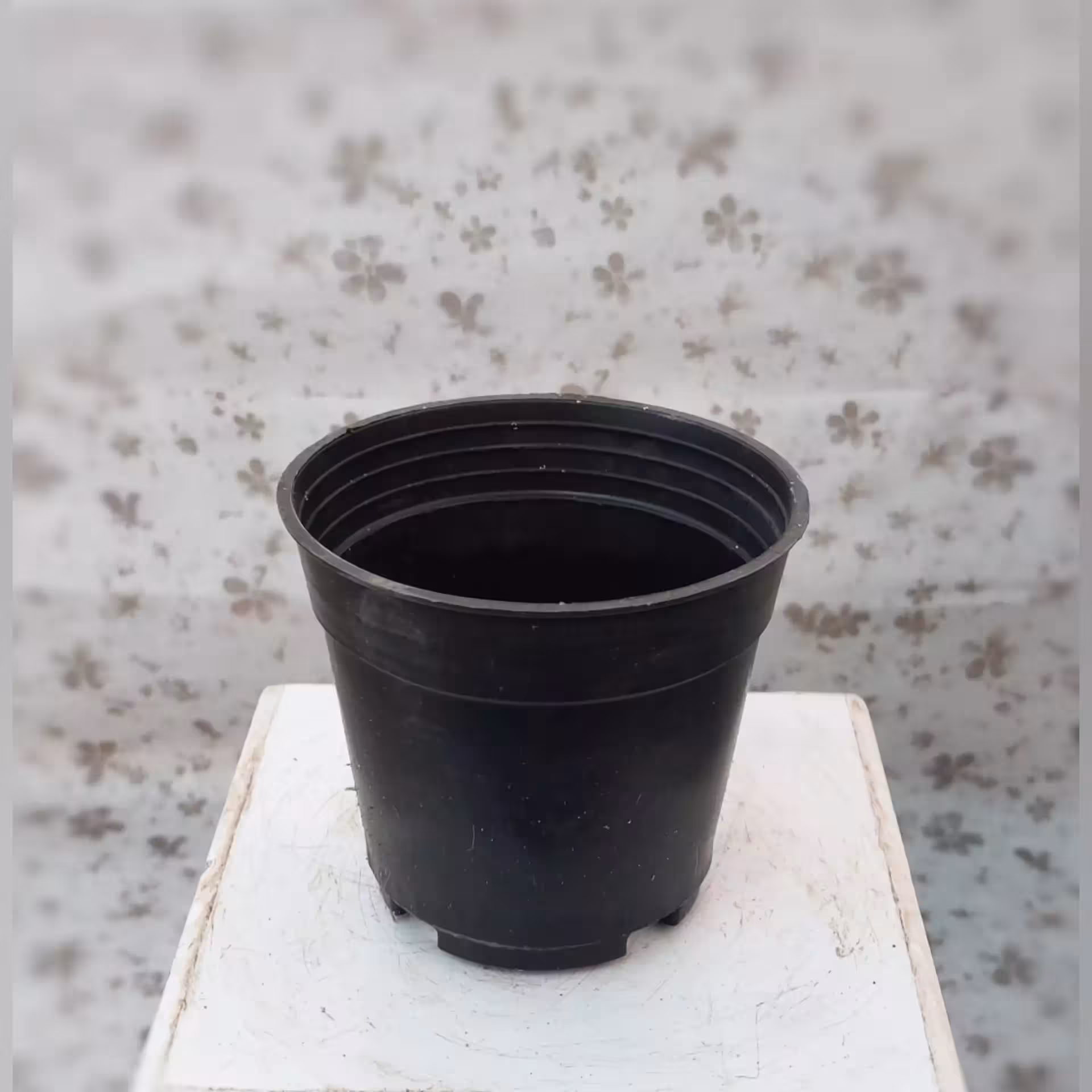 گلدان پلاستیکی با قطر 19