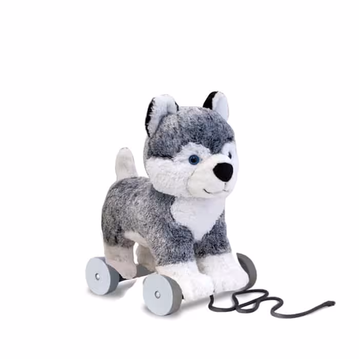 هاسکی کشیدنی لیتل برد ( 6 ماه) مدل Mishka برند Little bird told me