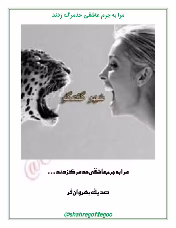 مرا به جرم عاشقی حد مرگ زدند