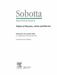 خرید و دانلود نسخه کامل کتاب Sobotta - Tables of Muscles, Joints and Nerves