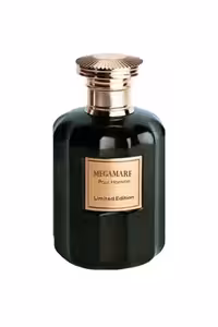 عطر ادکلن روبرتو ویزاری مگاماره | ROBERTO VIZZARI Megamare