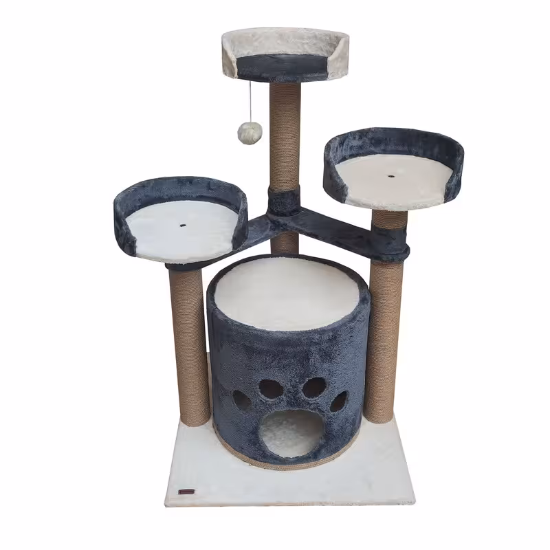 اسکرچر گربه هیوا پت مدل B42 | چاوه