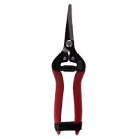 قیچی میوه چین سرکج واستر مدل VFP009