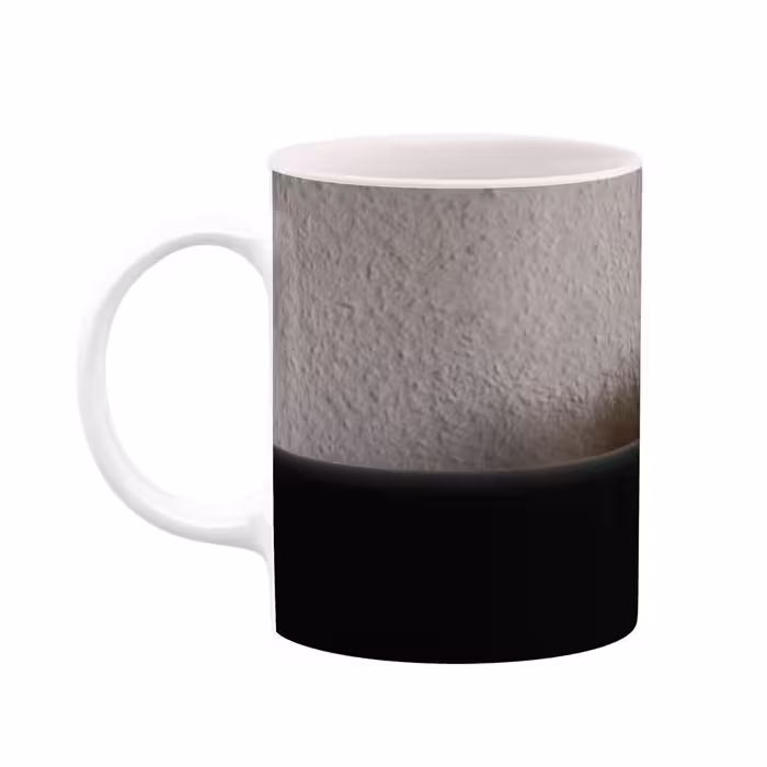 ماگ کاکتی طرح گربه مدل mgs16291