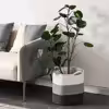 سبد رخت چرک مدل 3colr