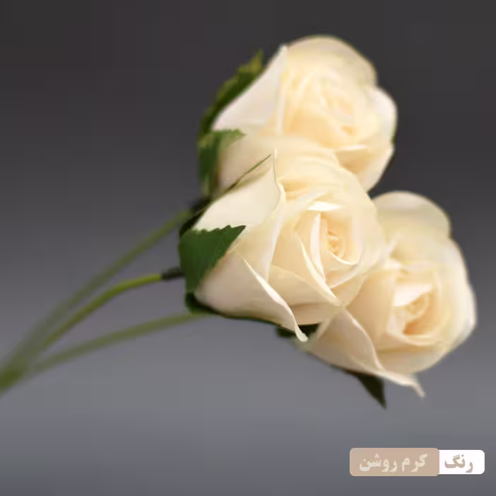 گل مصنوعی مدل شاخه گل رز بسته 3 عددی