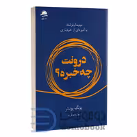 کتاب درونت چه خبره اثر یونگ پوئبلو انتشارات داهی