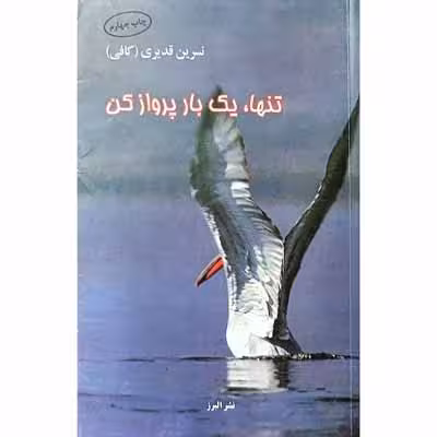 تنها یک بار پرواز کن