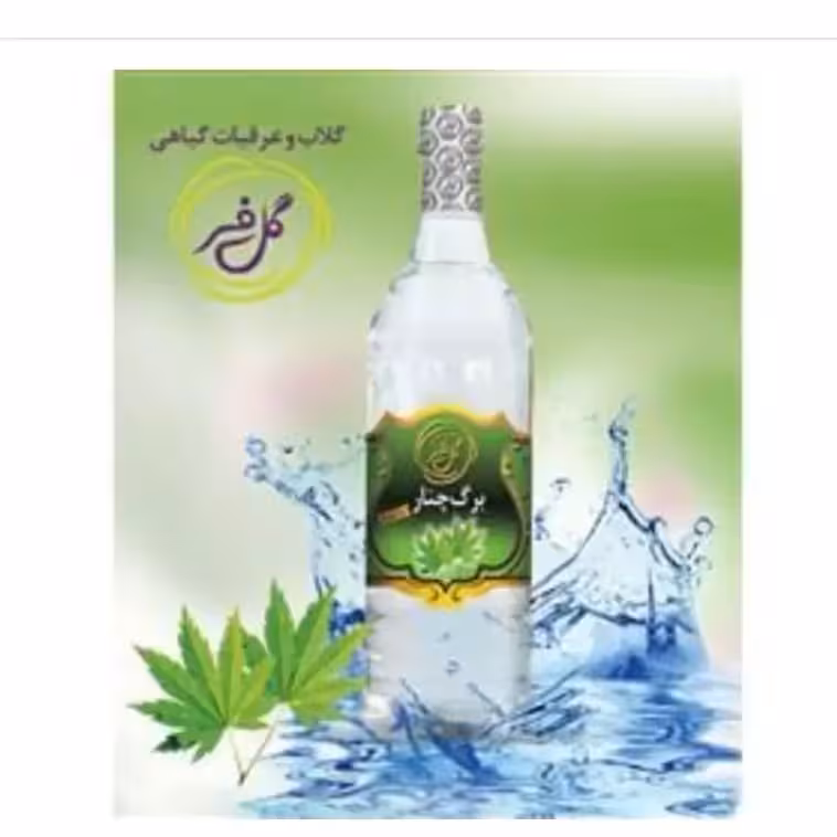 عرق برگ چنار ( تب بر ) | amazonchi