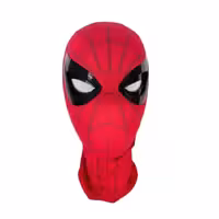 Spider Man headgear