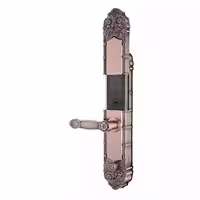 دستگیره هوشمند هوم لاک مدل Home Lock C200