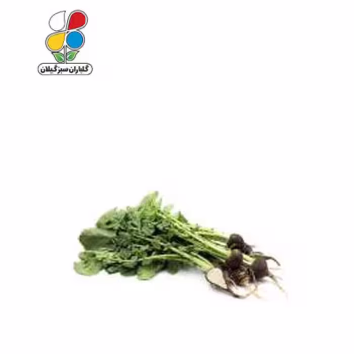 بذر ترب سیاه بسته بندی کوچک