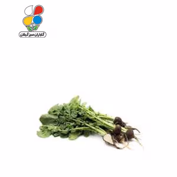 بذر ترب سیاه بسته بندی کوچک