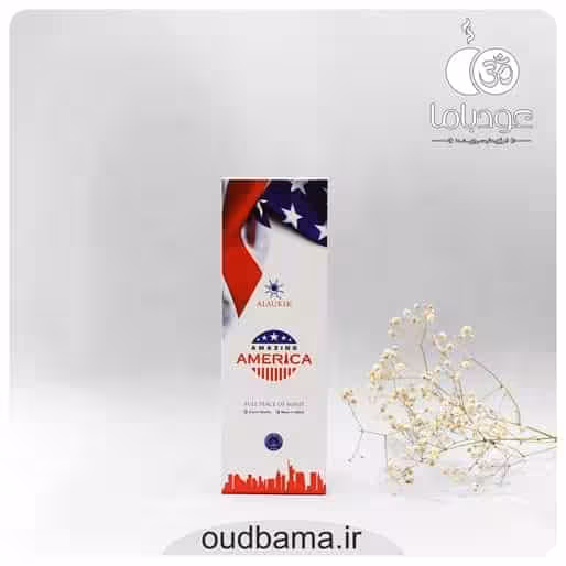عود دستساز آمریکای شگفت انگیز آمیزینگ امریکا AMAZING AMERICA ( آلوکیک ALAUKIK )