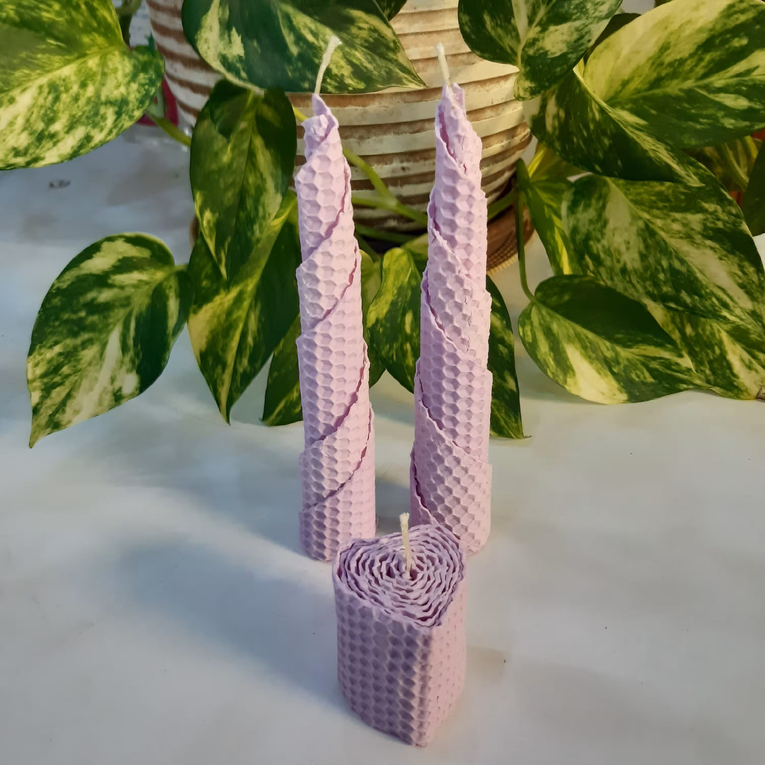 شمع مومی  یاسی پک سه عددی