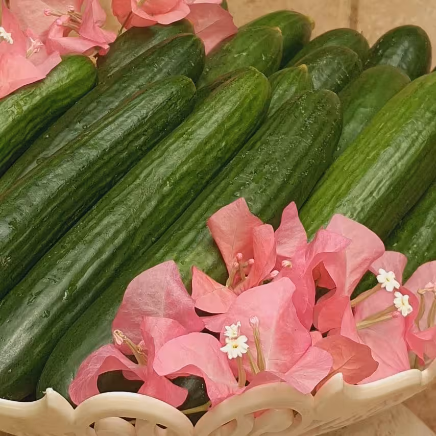 خیار گلخانه ای سید ( ارسال پسکرایه) 