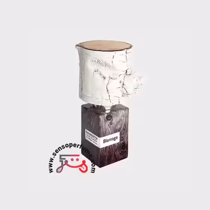 عطر ادکلن ناسوماتو بلاماج | nasomatto blamage