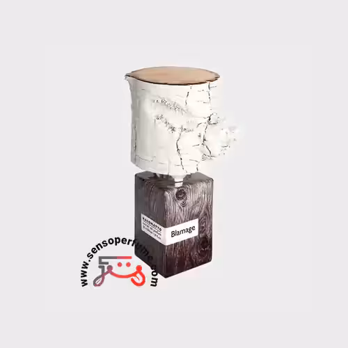 عطر ادکلن ناسوماتو بلاماج | nasomatto blamage