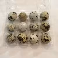 تخم بلدرچین  بسته 12 تایی 