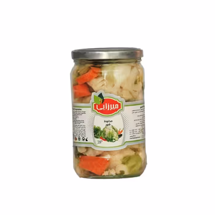 مخلوط شور میرزایی 680 گرمی