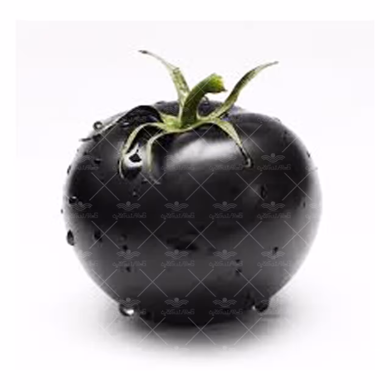 بذر گوجه فرنگی مشکی