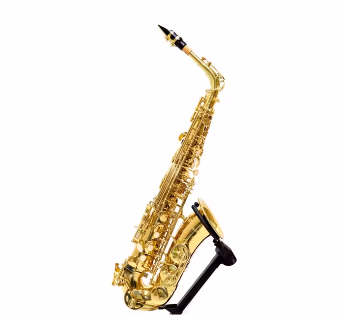 ساکسیفون آلتو بست فان